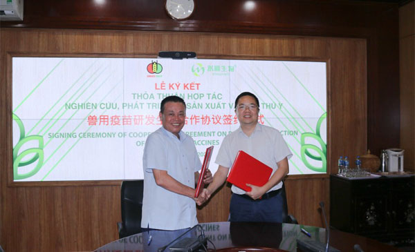 Lãnh đạo Tập đoàn Dabaco và Guangdong Winsun Bio Pharmaceutical trong ký hợp tác sản xuất vaccine thú y