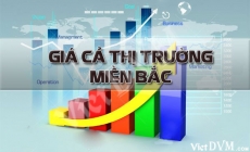 Giá cả thị trường miền Bắc tuần 03 năm 2018 (15 - 21/01/2018)