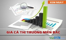 Giá cả thị trường miền Bắc tuần 52 năm 2017