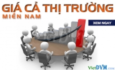 Giá cả thị trường miền Nam tuần 29 năm 2017 (17/07 - 23/07/2017)