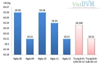 Tổng hợp giá cả thị trường Trung Quốc tuần 02 tháng 12 năm 2014