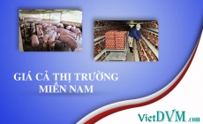 Giá cả thị trường miền Nam tuần 45 năm 2017 (02/11 - 08/11/2017)