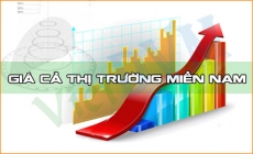 Giá cả thị trường miền Nam tuần 48 năm 2016 (21-27/11/2016)