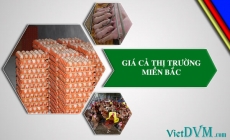 Giá cả thị trường miền Bắc tuần 23-2017 (05/06/2017 - 11/06/2017)