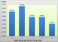 Tổng hợp giá cả thị trường Trung Quốc tuần 20 năm 2015