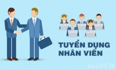 Trại heo nái ông bà cần tuyển dụng trưởng trại