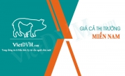 Giá cả thị trường miền Nam tuần 44 năm 2017 (27/10 - 01/11/2017)