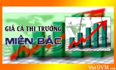 Giá cả thị trường miền Bắc tuần 04 năm 2018 (21 - 28/01/2018)