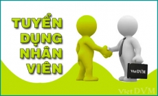 Tuyển dụng Kỹ thuật trại heo sinh sản